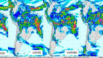 Temperaturas elevadas y tormentas aisladas
