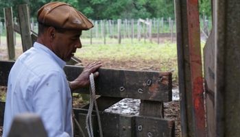 Nuevo plan de facilidades de pago de RENATRE