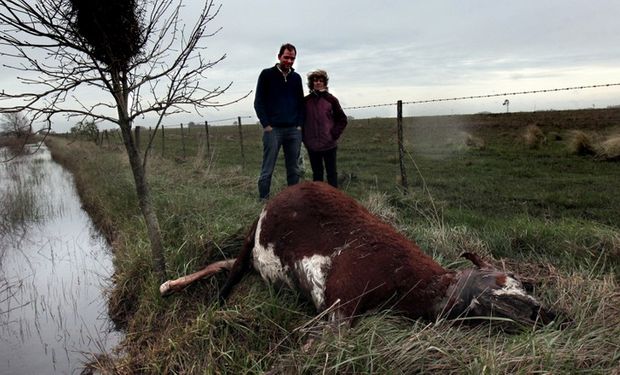 Los productores Ana Etchart y Amadeo Souverville en un campo anegado de Rauch. Foto: Santiago Hafford / Enviado especial La Nación.