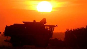 Balance del mercado mundial de maíz: cosecha récord pero con demanda sólida