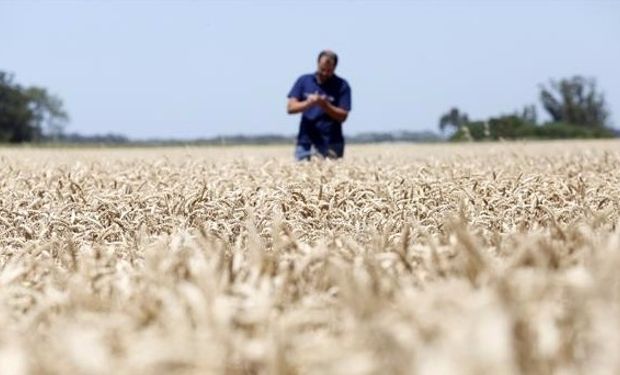 Censo Agropecuario: se usará un cuestionario presentado en una app móvil, que contará con seis secciones temáticas.