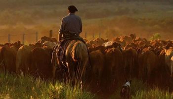 Certificados de trabajo en el ámbito rural: obligatoriedades, características y requisitos