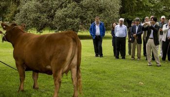 El príncipe de Japón, interesado en la carne