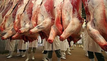 Creció la faena vacuna en diciembre