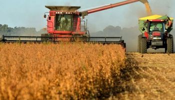 Retenciones: el agro aportará un 80% de la recaudación bajo el nuevo esquema