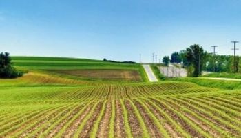 El agro uruguayo duplica la suba del PBI