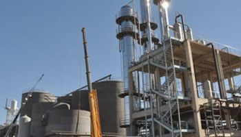 La industria de biodiesel alerta sobre la caída de la actividad