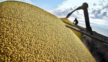 En Brasil se suman a la iniciativa de un nuevo contrato para la soja