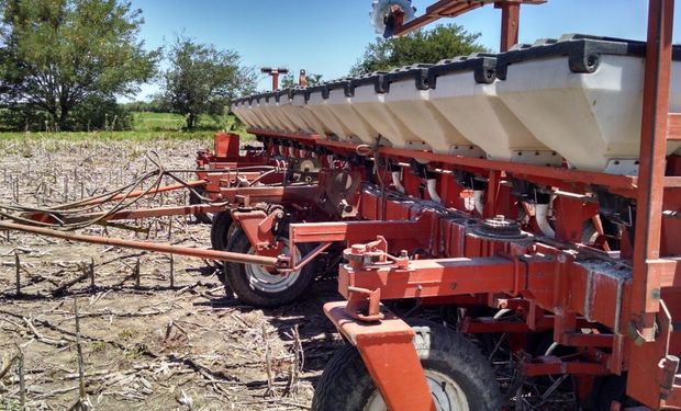 La siembra del cereal ocuparía 5,8 millones de hectáreas.