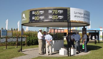 Lanzamiento de variedades DONMARIO con tecnología intacta RR2PRO