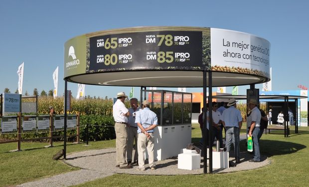 Lanzamiento de variedades DONMARIO con tecnología intacta RR2PRO