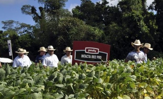 Salta se prepara para recibir los últimos avances en soja