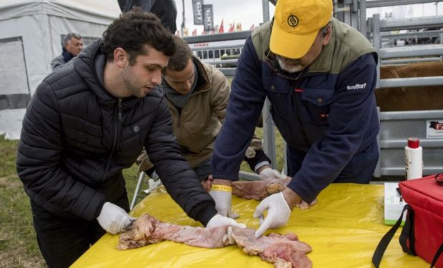 Desde el martes 27 hasta el viernes 30 de octubre Acción Ganadera mantendrá una decena de actividades diarias