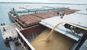 Asia podría comprar trigo de Argentina por la sequía en Australia