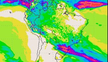 Sin lluvias a la vista se complican el trigo y el maíz