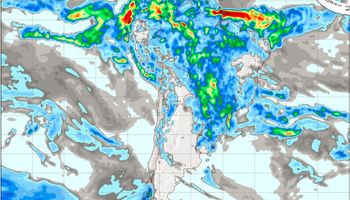 Las lluvias regresan con gran oportunismo