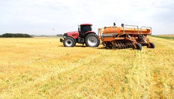 La combinación de trigo con soja de segunda sigue siendo la ganadora