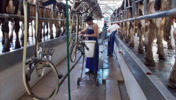 Lácteos: la exportación motoriza la participación de los tamberos en la góndola