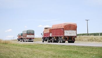 Atención a la programación logística: ingreso de camiones con trigo será el mayor en 10 años