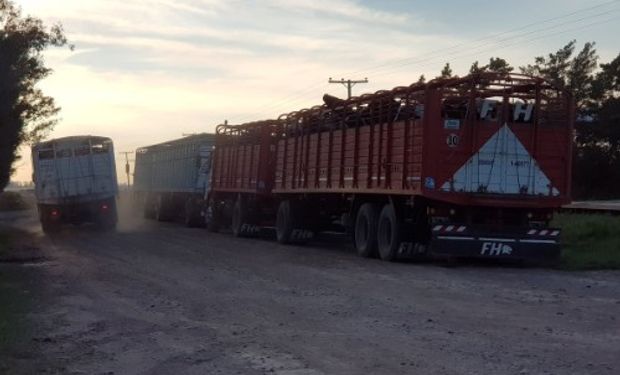 Carbap advierte sobre el "derrumbe de la lecheria argentina".