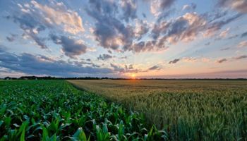 Seguros agrícolas 13-14, situación incierta