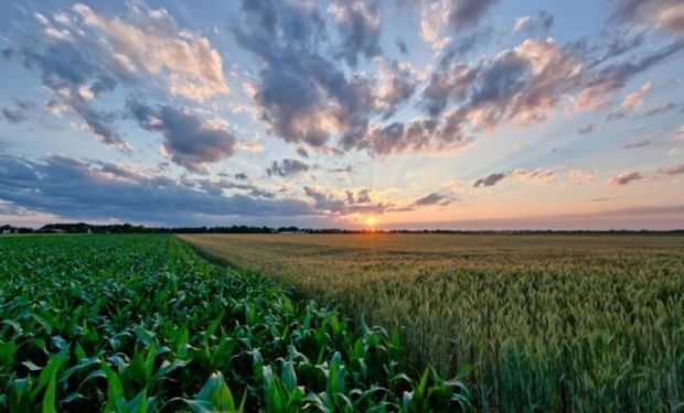 Seguros agrícolas 13-14, situación incierta
