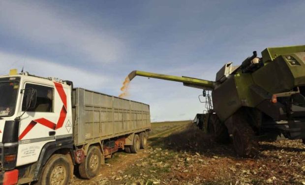 Gasoil: el agro consume unos 3.800 millones de litros anuales.