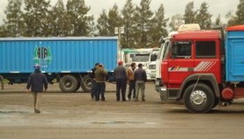 Entrar cuando todos quieren salir: AFA busca aumentar su participación en la cadena de valor triguera
