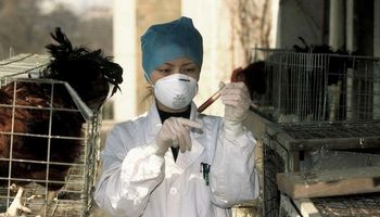 Autoridades sanitarias de China creen improbable epidemia de H7N9