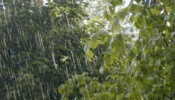 El sudoeste de la región pampeana recibirá precipitaciones menores