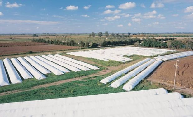 El silo bolsa se consolidó en Argentina como una alternativa viable para almacenar y conservar las cosechas.