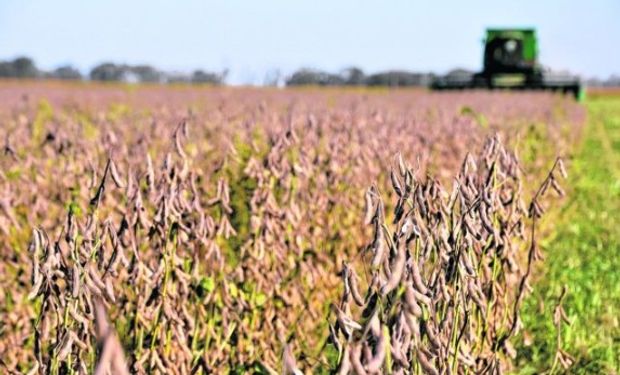 Índices Provinciales: Buenos Aires, Córdoba, Santa Fe, San Luis y La Pampa relevada por FADA.