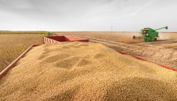 La soja puede rendir más