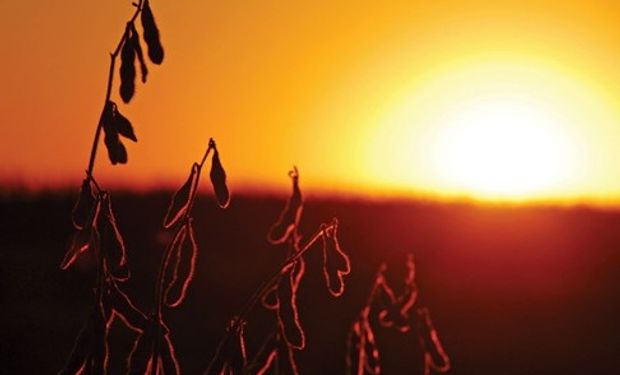 Las primeras lluvias de octubre pueden llegar a Córdoba cerrando el domingo o en el cambio para el lunes.