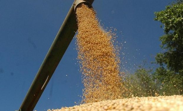 CBOT: ventas técnicas recortan suba de soja.
