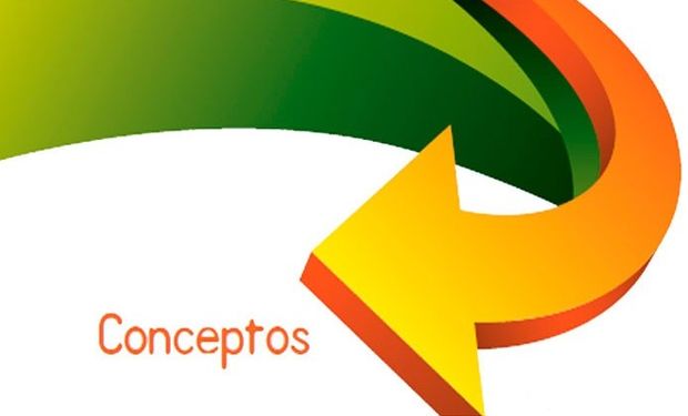 Ideas Inspiradoras