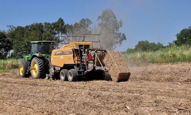 Las enfardadoras de malhoja en la última campaña trabajaron 8000 hectáreas de caña, sobre un total de 42.000 hectáreas plantadas. Foto: Ingenio Ledesma