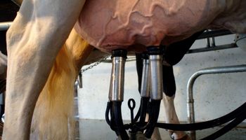 Febrero será un mes clave para los tambos