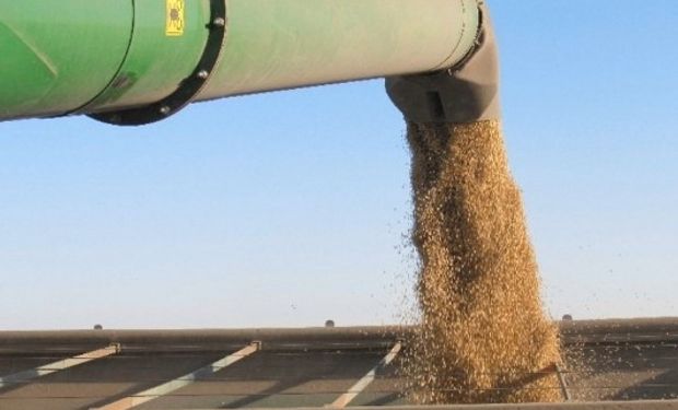 Analistas esperan incremento en producción de maíz y soja en Estados Unidos de cara al próximo reporte de USDA.