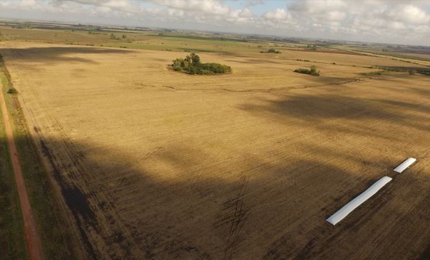 Los sistemas de observación remota de la tierra sirven para adquirir datos y generar información de valor.