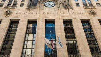 Bajas en Chicago a la espera del informe mensual del USDA