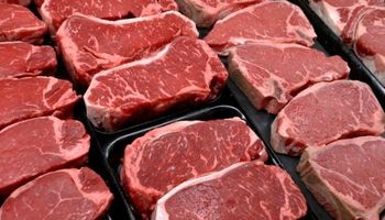 La carne argentina dijo presente en Japón con dos importantes eventos