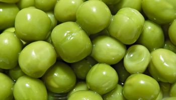 Comenzaron a caer los precios de exportación de la arveja
