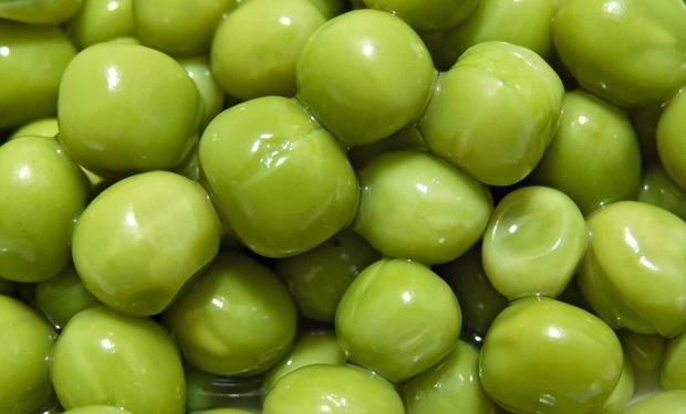 Comenzaron a caer los precios de exportación de la arveja