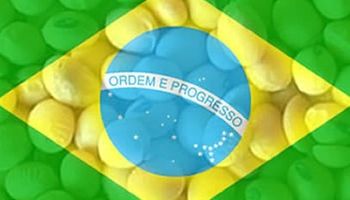 Brasil domina negocios de soja con China durante 2013 