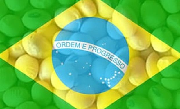 Brasil domina negocios de soja con China durante 2013
