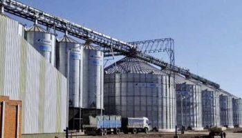 Agosto marcó la 3° molienda de trigo más baja desde 2007