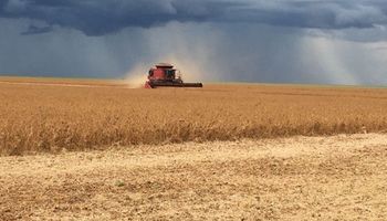Estados Unidos: preocupan las lluvias en plena cosecha
