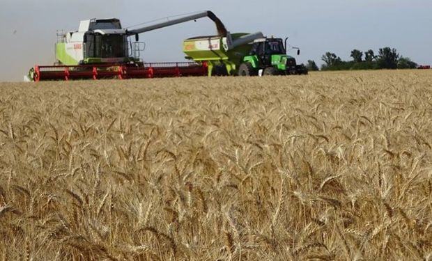 En la región núcleo solo 160 mil toneladas más se producirían a pesar de haberse sembrado más y fertilizarse mejor.