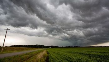 Lluvias: en muchos sectores sorprenden los acumulados